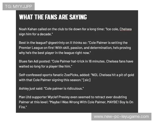 帕尔默评分与表现形成反差