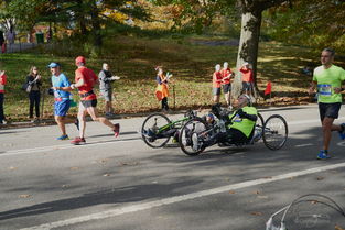 乐鱼官网-全国马拉松巡回赛浙江站顺利举办,浙江马拉松纪录挑战赛