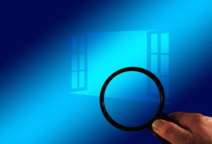 leyu.com-德甲青训心理测试系统对识别高潜力球员的辅助作用,德甲青训规则