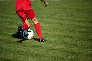 乐鱼体育平台app下载-意甲青训项目加入比赛情绪识别系统提升抗压反应,意甲情怀