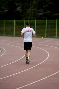 乐鱼官网-高校运动训练效果科学评估研究，运动训练高校排名