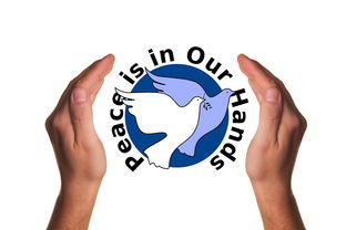 乐鱼(中国)体育官方网站-决赛教练战术对决吸引全球关注,比赛中教练挑战是什么意思