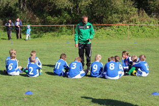 乐鱼体育登录-南非混合泳团队战术引热议，南非的混合农业