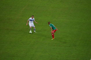 leyu乐鱼官网登录入口-博卡防守过度依赖身体对抗，博卡vs